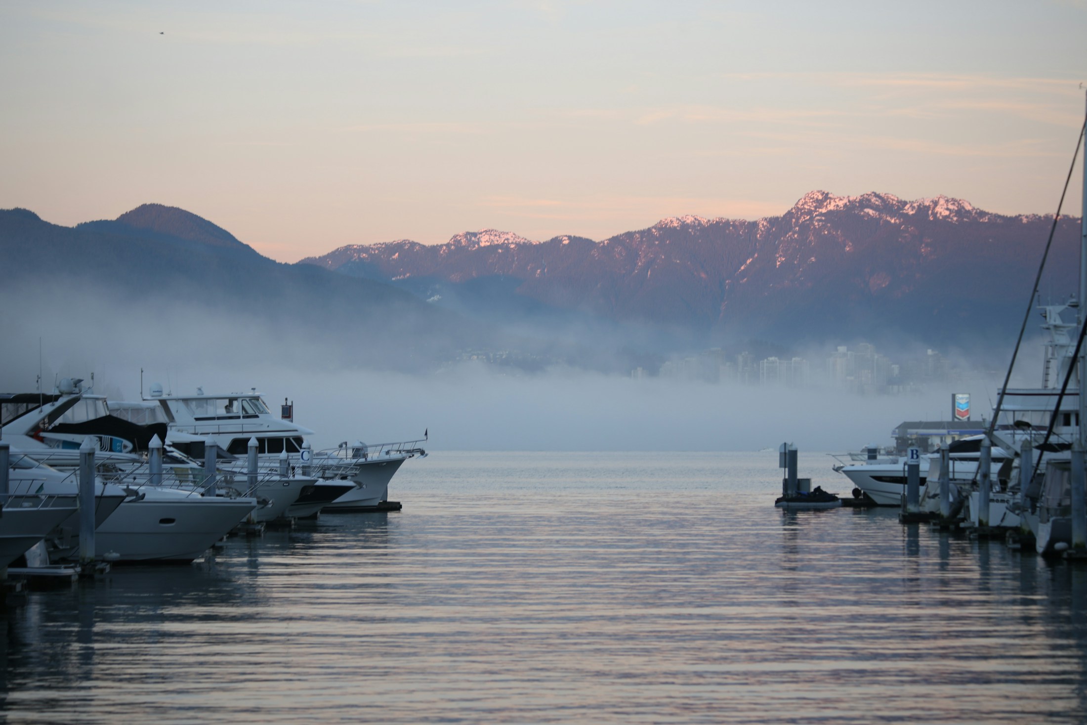 Boats moored in a Vancouver marina with the city and coastal setting beyond